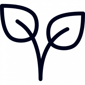 Crecimiento del cultivo